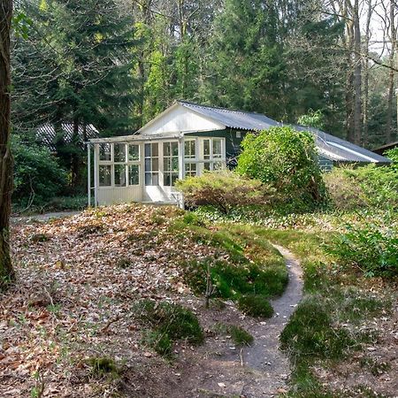 "Esdoorn" Ontspannen In De Hottub Norg Extérieur photo