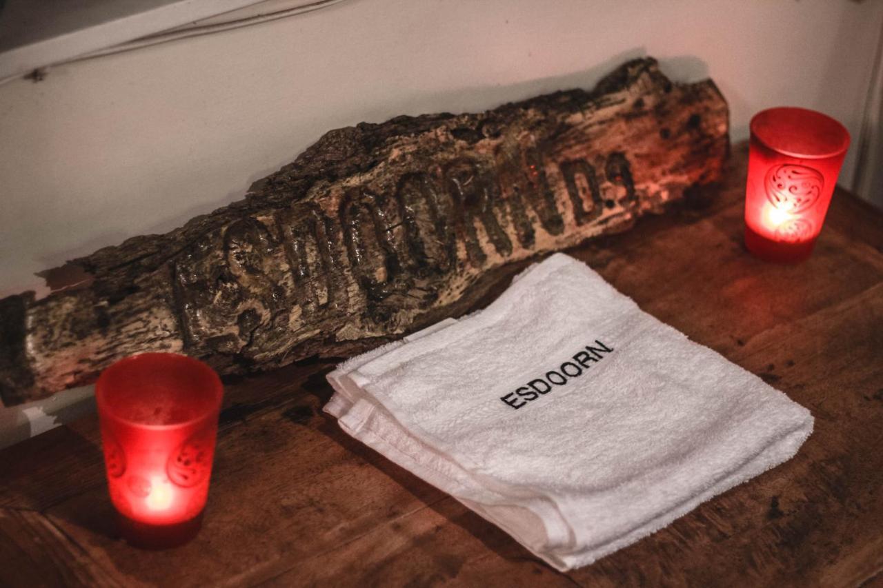 "Esdoorn" Ontspannen In De Hottub Norg Extérieur photo